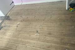 photo3